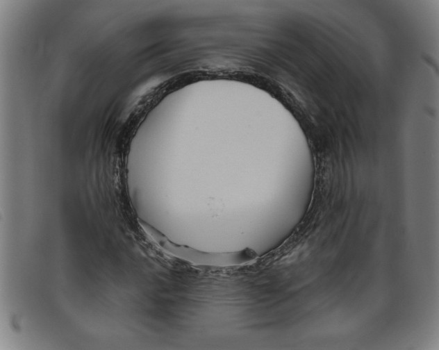 X0000097871016200804041546