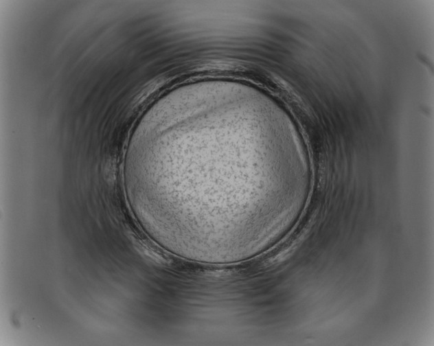 X0000097871017200804041546