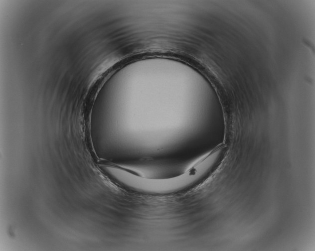 X0000097871018200804041546