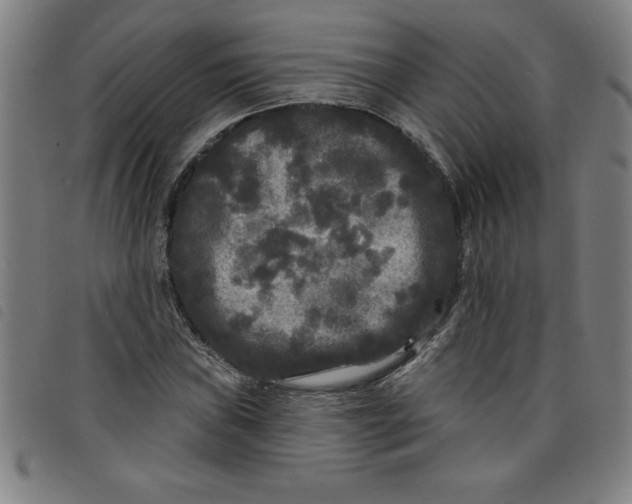 X0000097871019200804041546