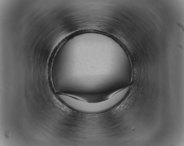 X0000097871020200804041546