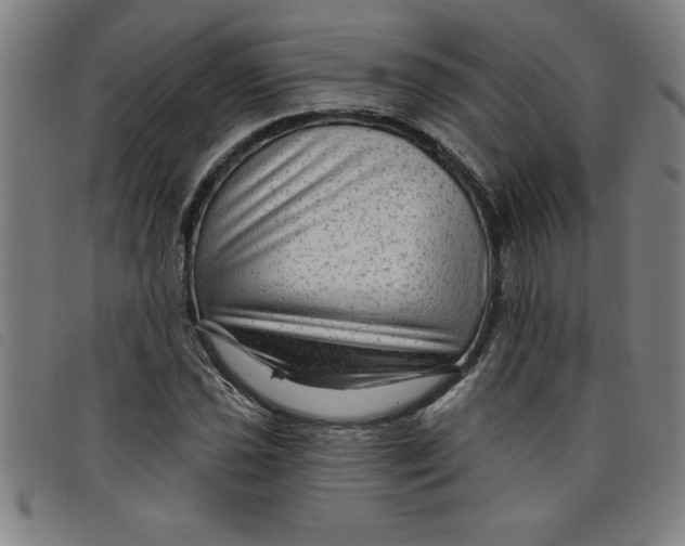 X0000097871021200804041546