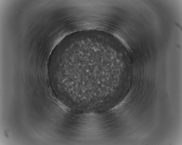 X0000097871023200804041546