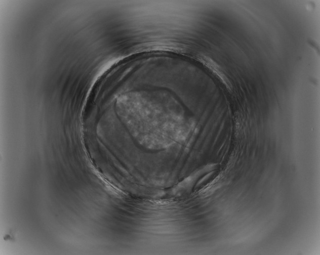 X0000097871024200804041546