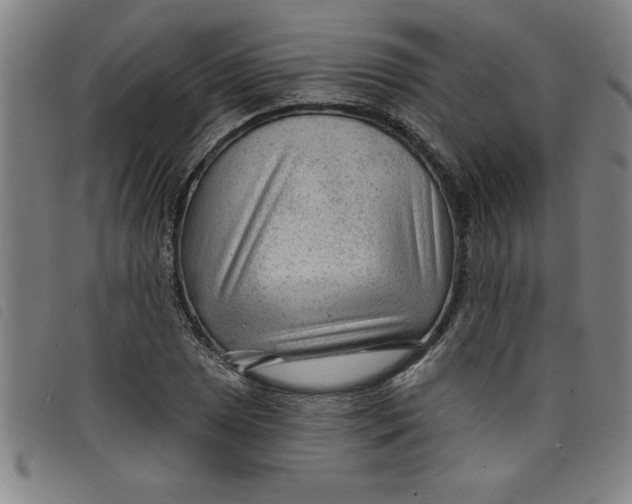 X0000097871025200804041546