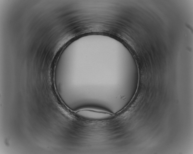 X0000097871026200804041546