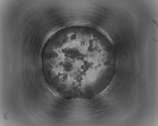 X0000097871027200804041546