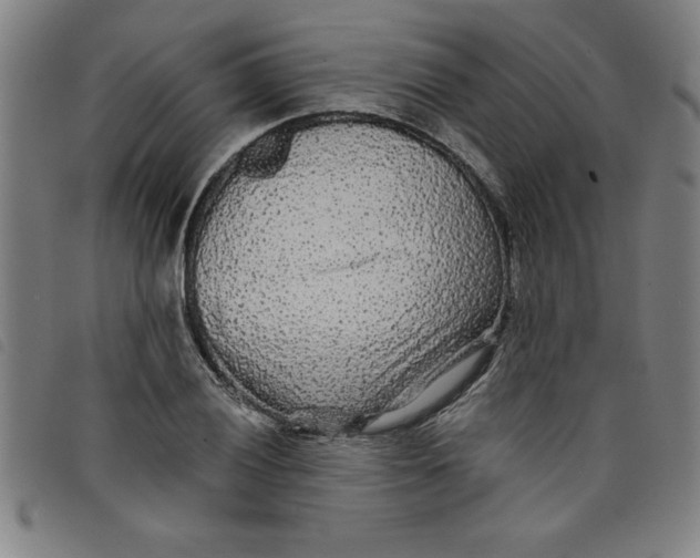 X0000097871028200804041546