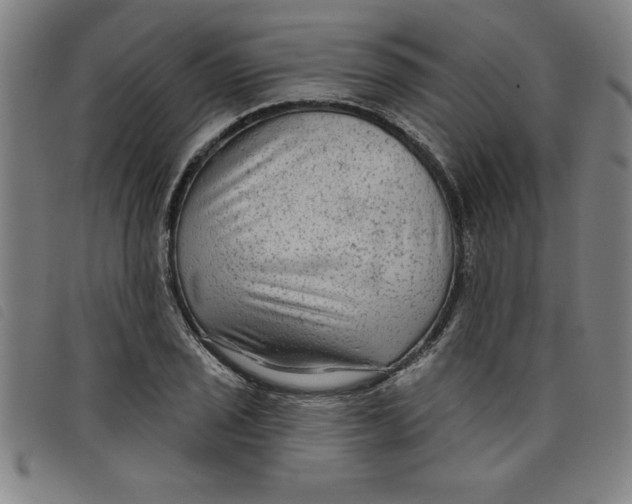 X0000097871029200804041546
