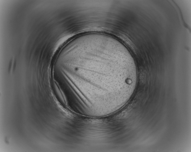 X0000097871030200804041546