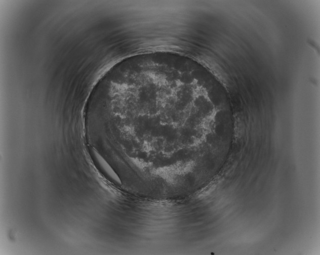 X0000097871031200804041546