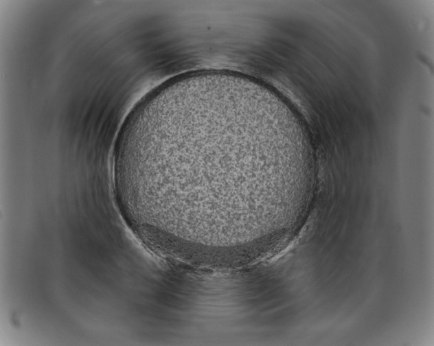 X0000097871032200804041546