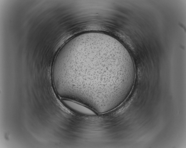X0000097871033200804041546