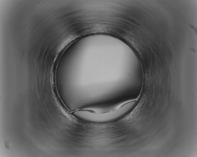 X0000097871034200804041546
