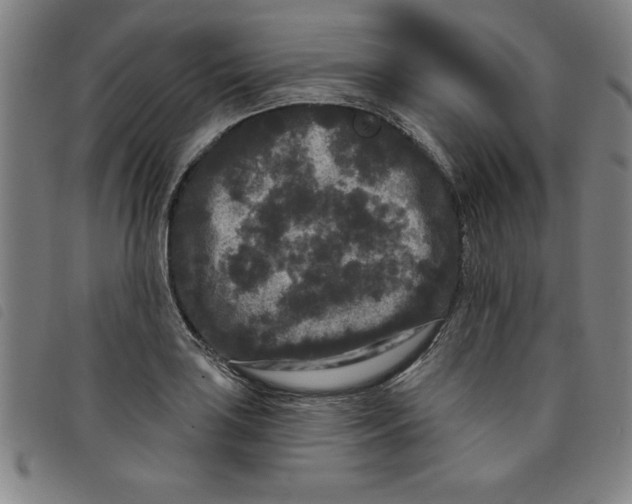X0000097871035200804041546