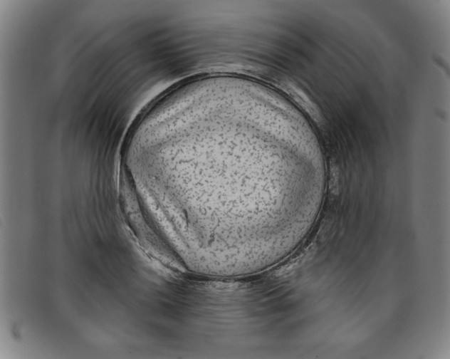 X0000097871036200804041546
