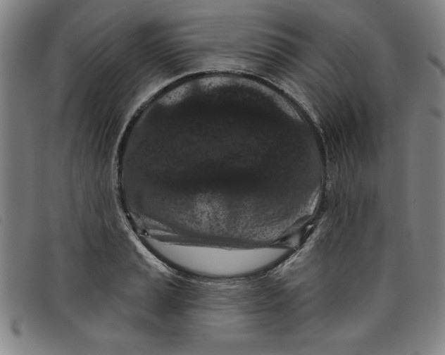 X0000097871037200804041546