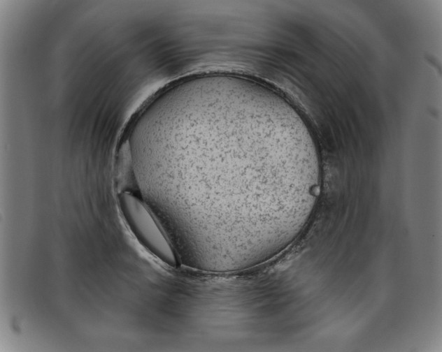 X0000097871038200804041546