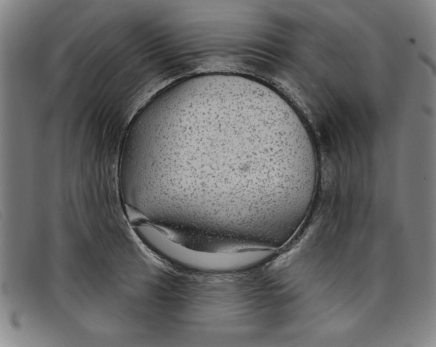 X0000097871041200804041546