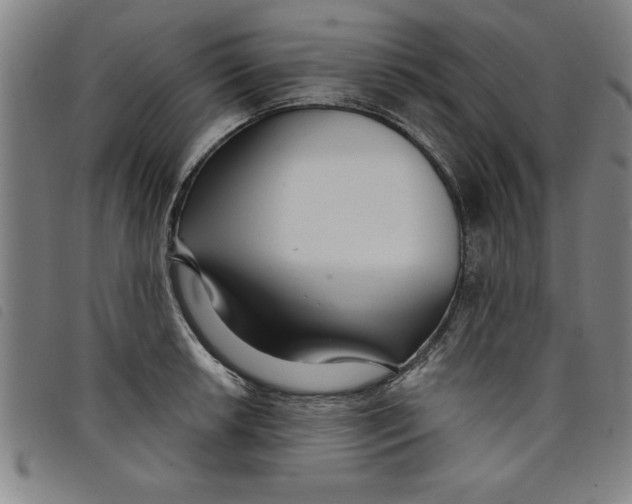 X0000097871042200804041546