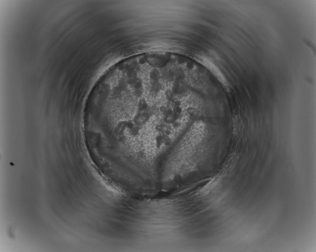 X0000097871043200804041546