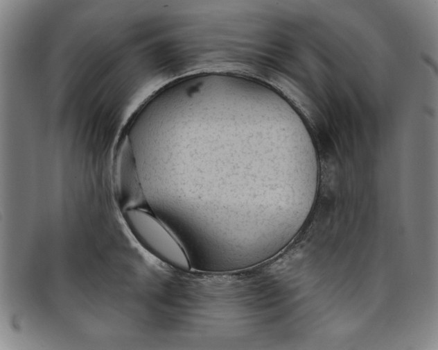 X0000097871046200804041546