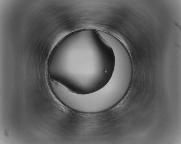 X0000097871048200804041546