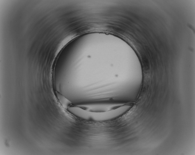 X0000097871050200804041546