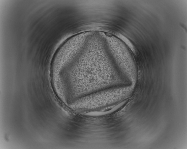 X0000097871051200804041546