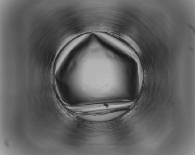 X0000097871052200804041546