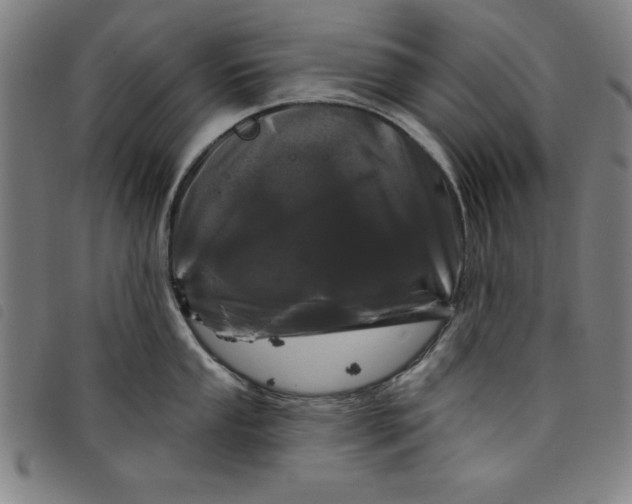 X0000097871053200804041546