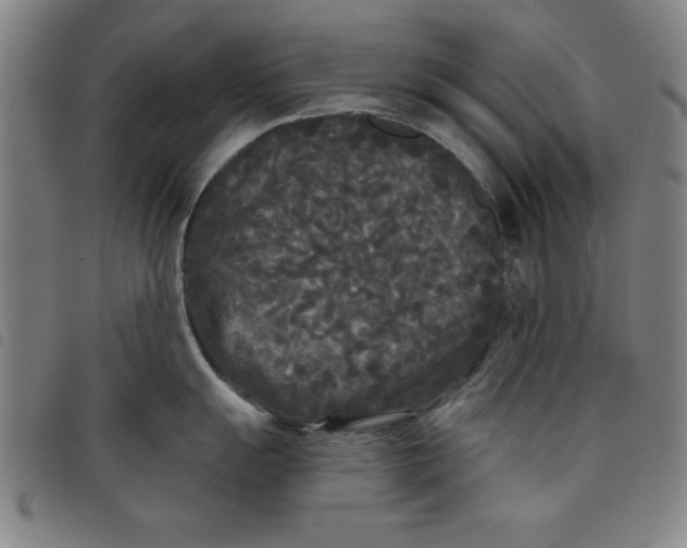 X0000097871055200804041546