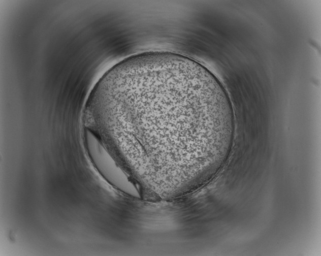 X0000097871056200804041546