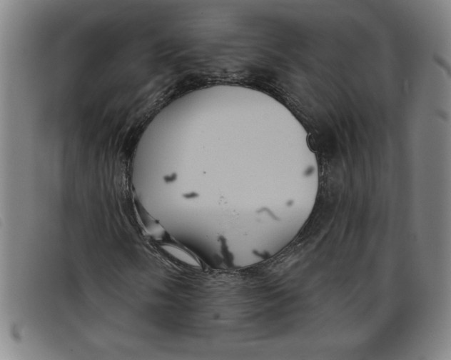 X0000097871058200804041546