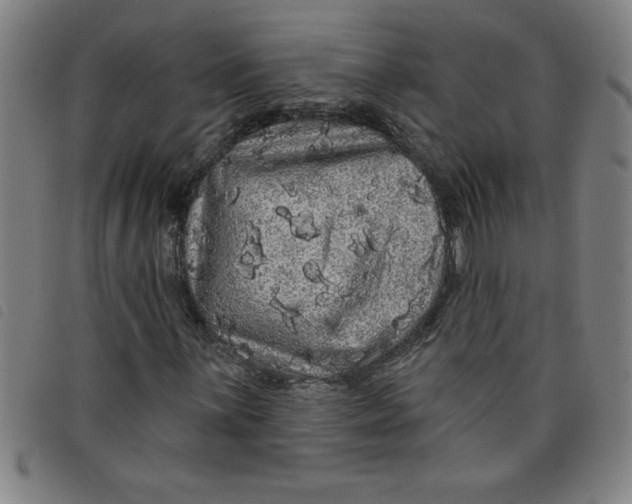 X0000097871059200804041546