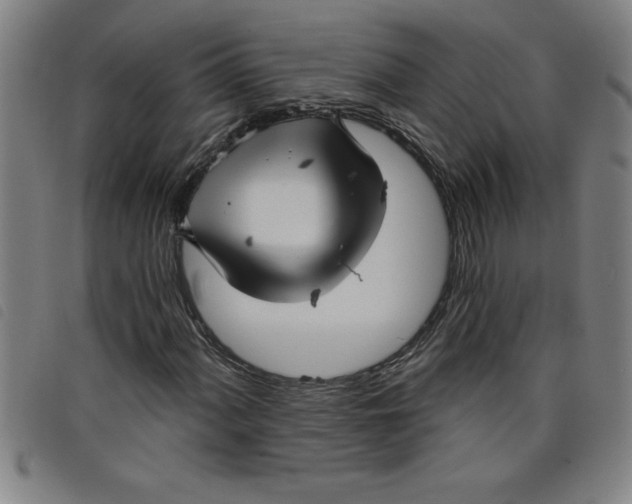 X0000097871060200804041546