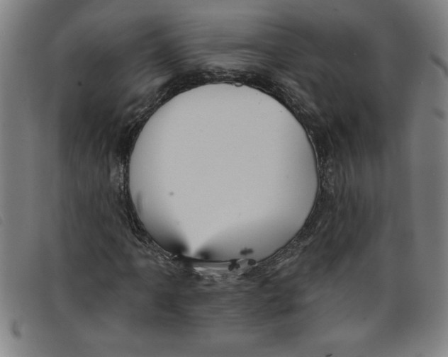 X0000097871061200804041546