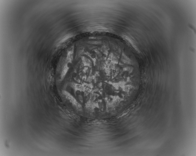 X0000097871063200804041546