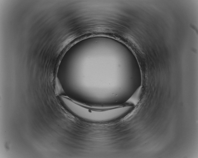 X0000097871065200804041546