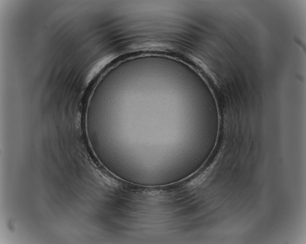 X0000097871066200804041546