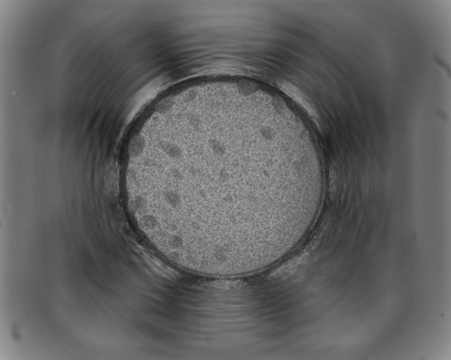 X0000097871067200804041546
