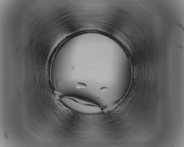 X0000097871068200804041546