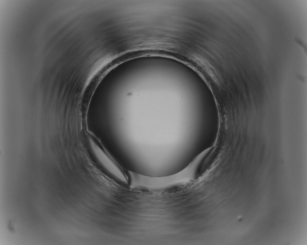 X0000097871069200804041546