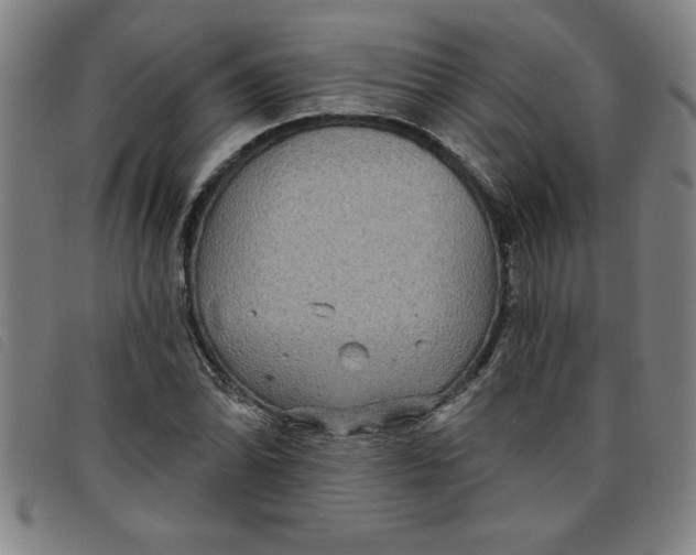 X0000097871070200804041546