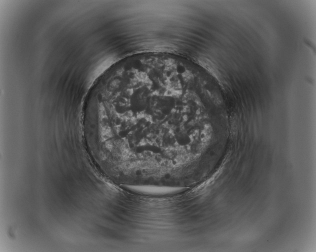 X0000097871071200804041545