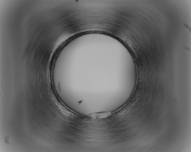 X0000097871072200804041545