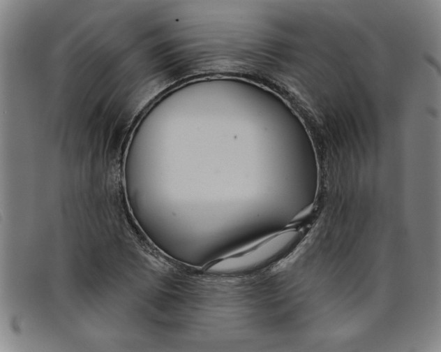 X0000097871073200804041545