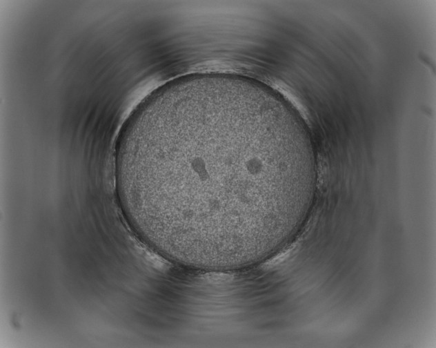X0000097871075200804041545