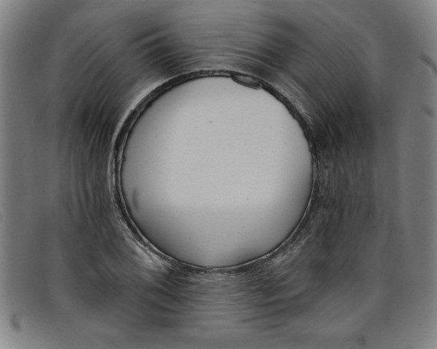 X0000097871076200804041545
