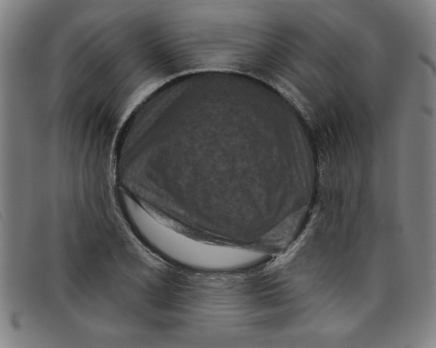 X0000097871077200804041545